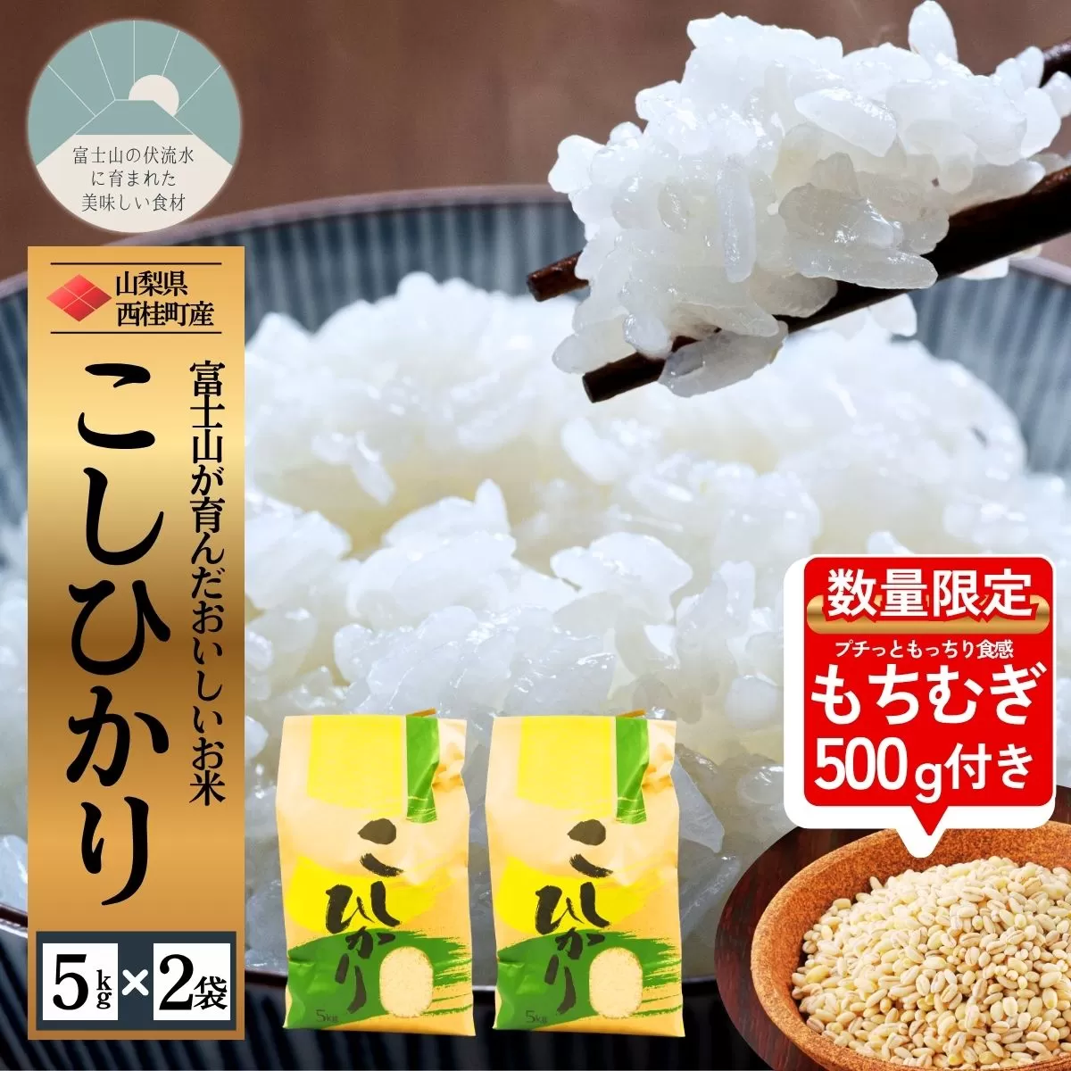 コシヒカリ 今だけ数量限定でもち麦500g付き！ 5キロ 2袋 / 国産 こしひかり  10キロ 令和7年 新米 米 お米 保存袋 生活必需品 ギフト 贈り物 お歳暮 ふるさと納税 送料無料【n0663-10_gou】