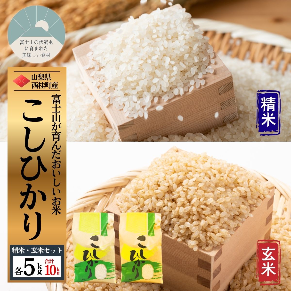 コシヒカリ【精米5キロ＋玄米5キロ】合計10キロ  / 国産 こしひかり  10キロ 令和7年産 米 お米 玄米 保存袋 生活必需品 ギフト 贈り物 お歳暮 ふるさと納税 送料無料【n0669_gou】