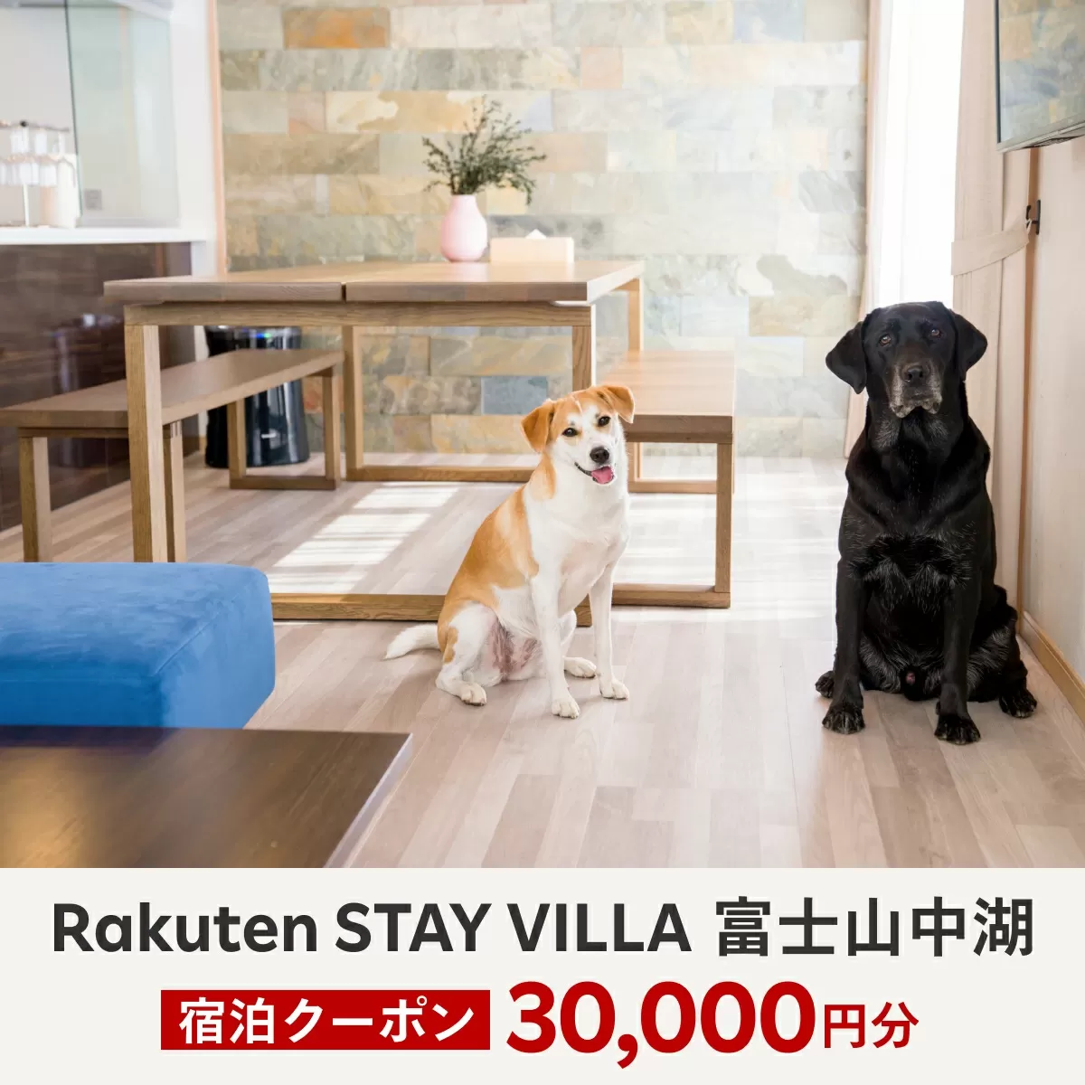 Rakuten STAY VILLA 富士山中湖 宿泊クーポン (30,000円分) ふるさと納税 楽天ステイ 宿泊 ヴィラ リゾート 貸し切り YAL002