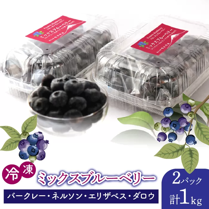 鳴沢村産冷凍ミックスブルーベリー(バークレー・ネルソン・エリザベス・ダロウ）500g×2パック NSAL005