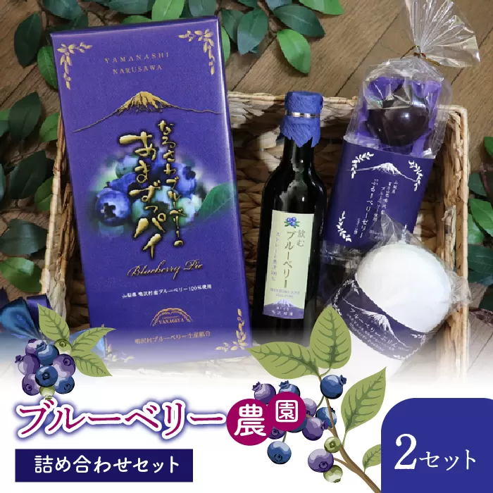 ブルーベリー農園詰め合わせセット×2セット NSAL003