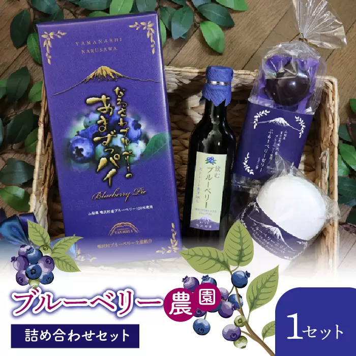 ブルーベリー農園詰め合わせセット NSAL002