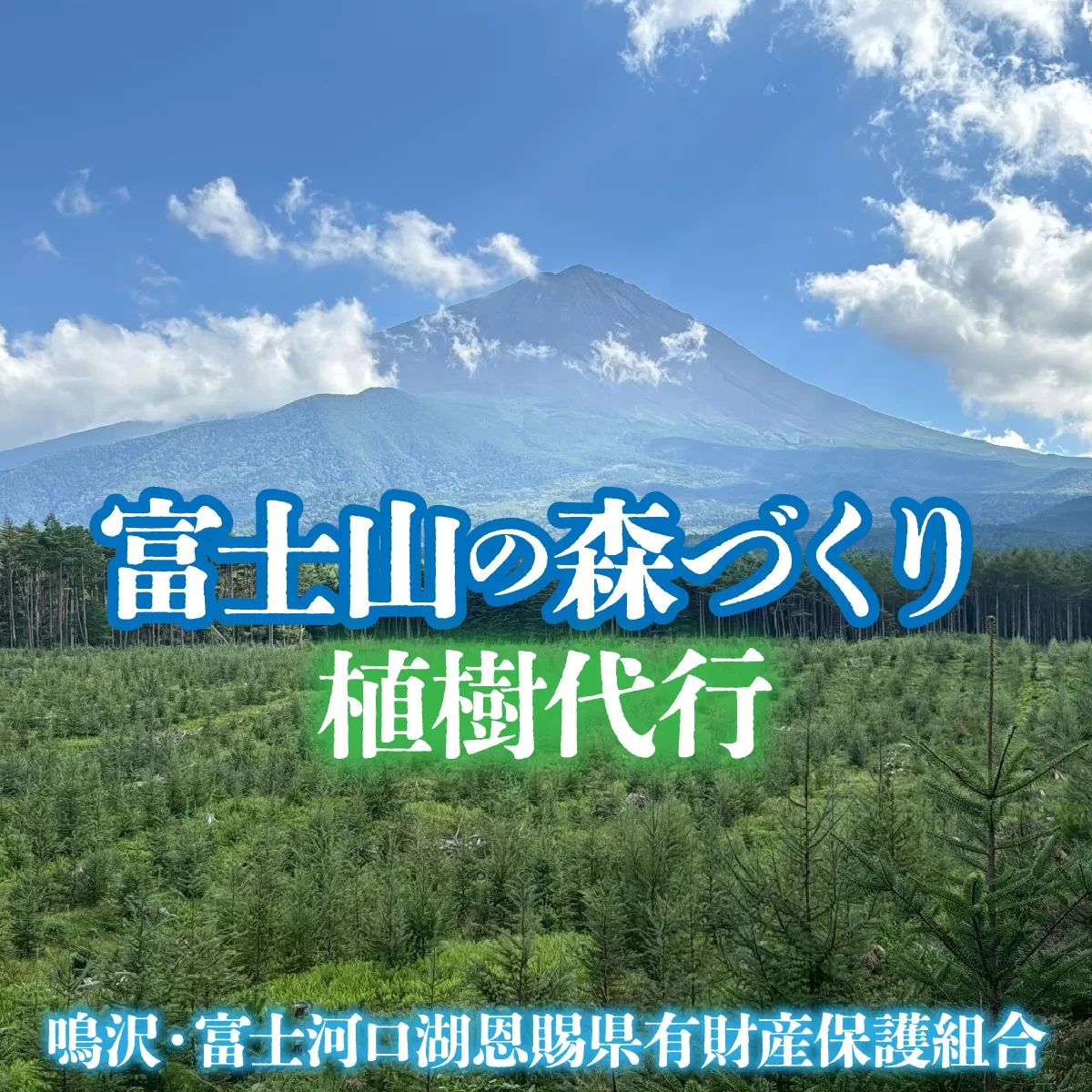 富士山の森づくり植樹代行 NSAP001