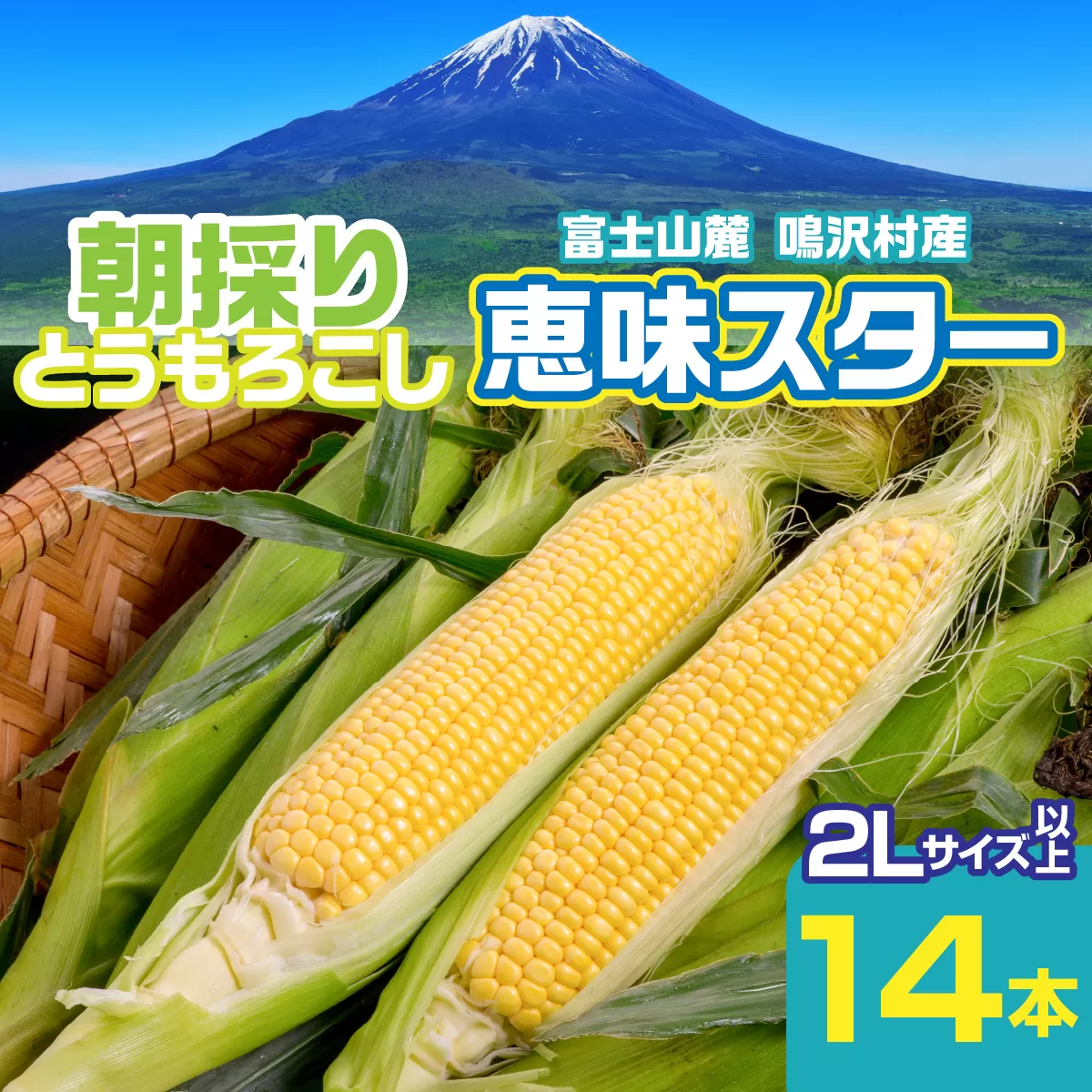 【2026年8月～発送】富士山麓 鳴沢村産 朝採り とうもろこし【恵味スタ－】5kg ふるさと納税山梨県 鳴沢村 送料無料 NSH004