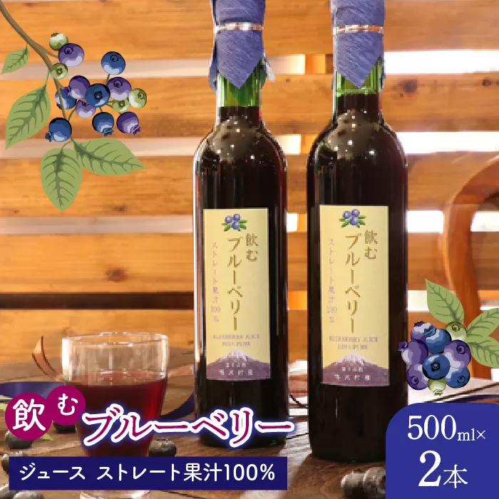 飲むブルーベリージュース500ml2本セット（ストレート果汁100％） NSAL004