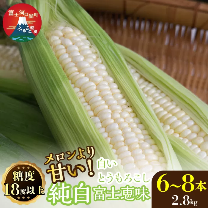 ＜26年発送先行予約＞富士山の大地から待望の白いとうもろこし！フルーツではなくもはやスイーツ☆純白富士恵味6～8本 白い恵味 FAH007