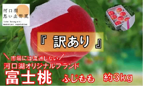 【2026年8月中旬より発送】【訳あり】河口湖で初の桃栽培！オリジナルブランド富士桃『訳あり』(約３キロ) FAH001