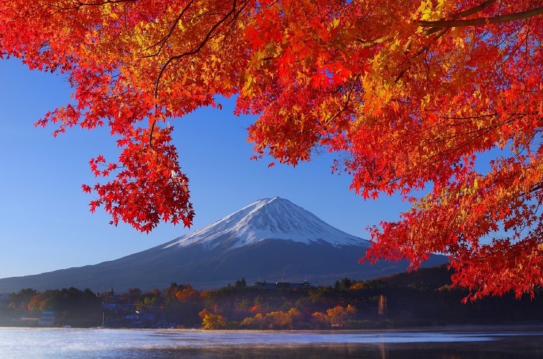 四季それぞれの美しさが際立つ富士山と湖の風景