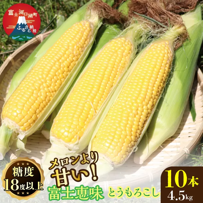 ＜25年発送先行予約＞メロンより甘い！生で美味しいとうもろこし富士恵味１０本セット 惠味ゴールド スイートコーン FAH003