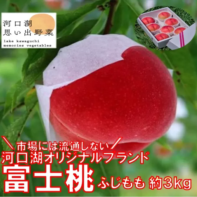 【2026年8月中旬より発送】河口湖で初の桃栽培！オリジナルブランド富士桃(約３キロ) FAH004