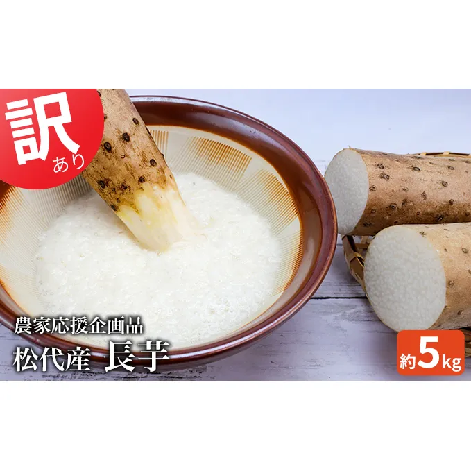訳あり 松代産長芋 約5kg　応援企画品 野菜 根菜 傷 変形 こぶ 5キロ 