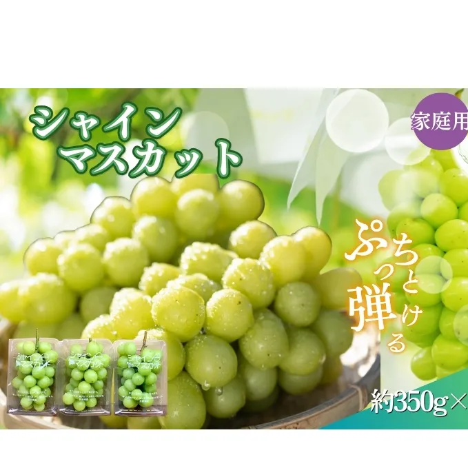 【農家応援企画！！】シャインマスカット家庭用3パック（約350g×3）※オンライン決済限定　2025秋発送 果物 ぶどう フルーツ 食後 デザート 