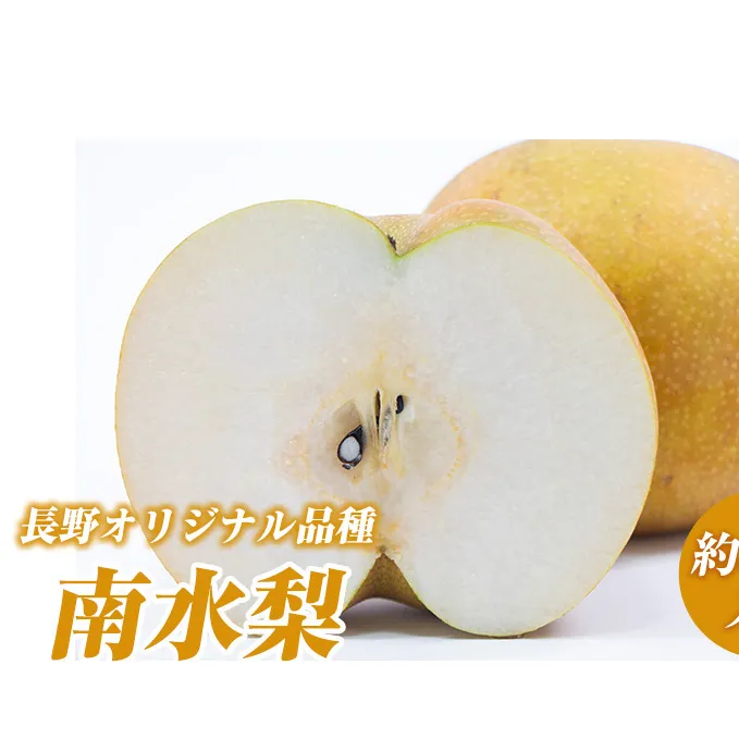 2026年産 先行予約 長野オリジナル品種 南水梨 約3kg入り 2026年発送 果物 フルーツ デザート 食後 長野県産 信州 和梨 ジューシー 硬い 新品種 シャキシャキ