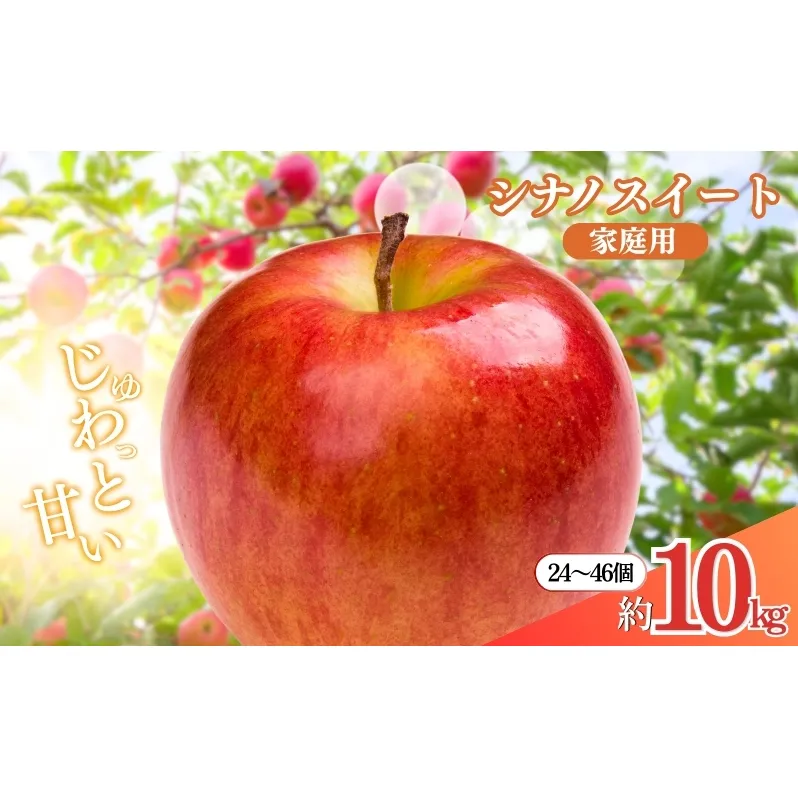 先行予約 長野市産シナノスイート家庭用 約10kg 2025年10月下旬より順次発送 ※オンライン決済限定 果物 フルーツ デザート 食後 おやつ 長野県産 信州 甘い 交配品種 酸味が少ない りんご 