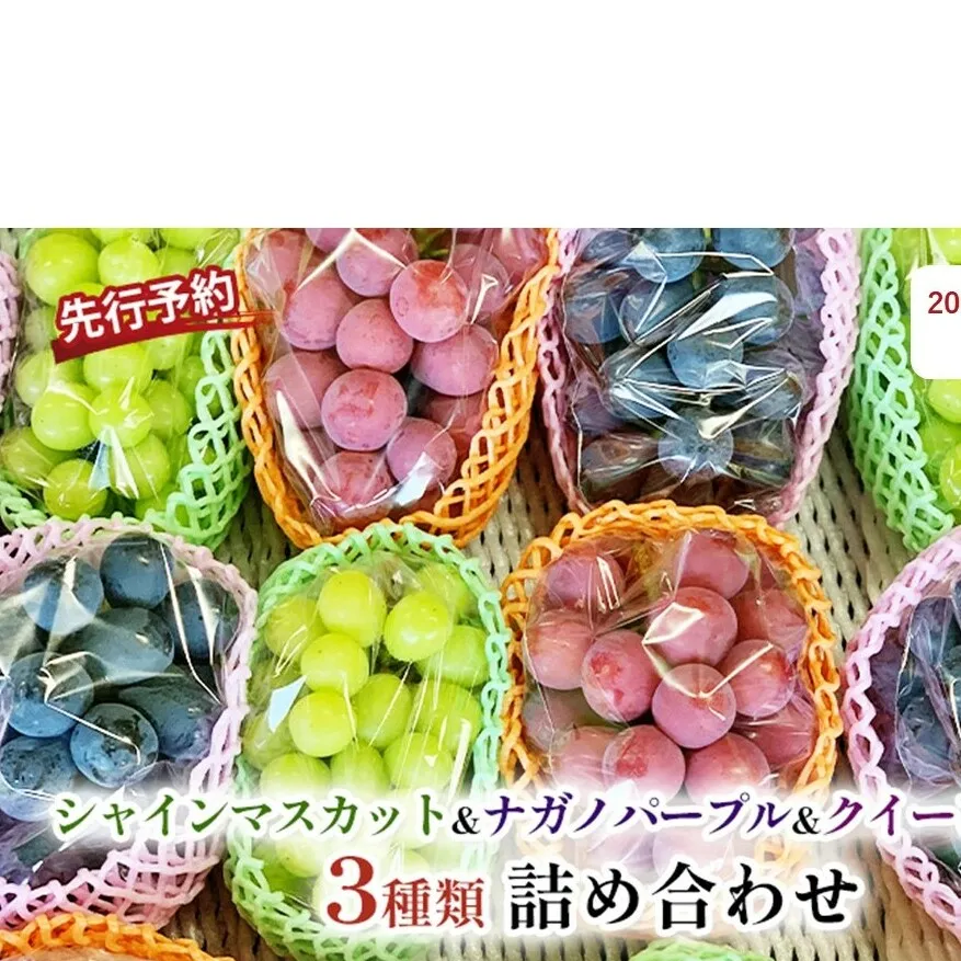 ぶどう 先行予約 シャインマスカット ＆ ナガノパープル ＆ クイーンニーナ 3種類 詰め合わせ セット お楽しみ 食べ比べ 葡萄 ブドウ 果物 フルーツ シャイン マスカット デザート 信州 2025年秋発送頃 