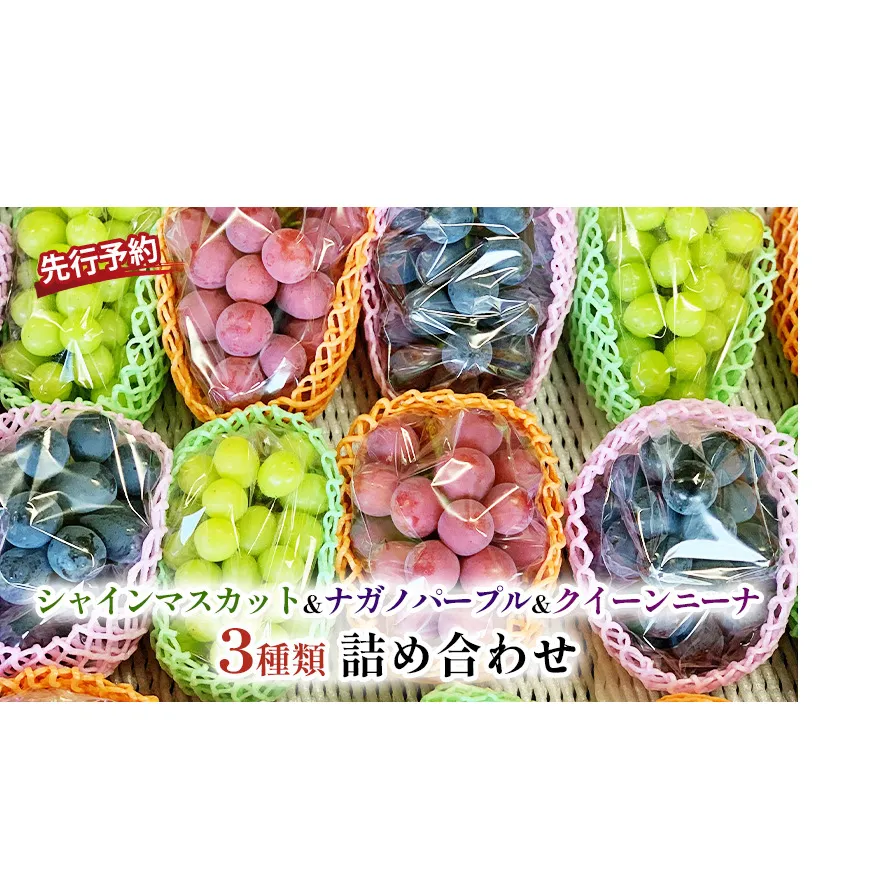 ぶどう 先行予約 シャインマスカット ＆ ナガノパープル ＆ クイーンニーナ 3種類 詰め合わせ セット お楽しみ 食べ比べ 葡萄 ブドウ 果物 フルーツ シャイン マスカット デザート 信州 2026年秋発送頃
