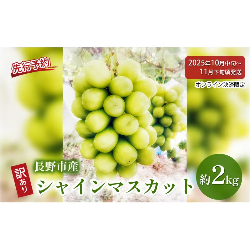 ぶどう 先行予約 長野県産 シャインマスカット 約2kg 訳あり 葡萄 ブドウ 果物 フルーツ シャイン マスカット デザート おやつ 信州 2025年秋発送 