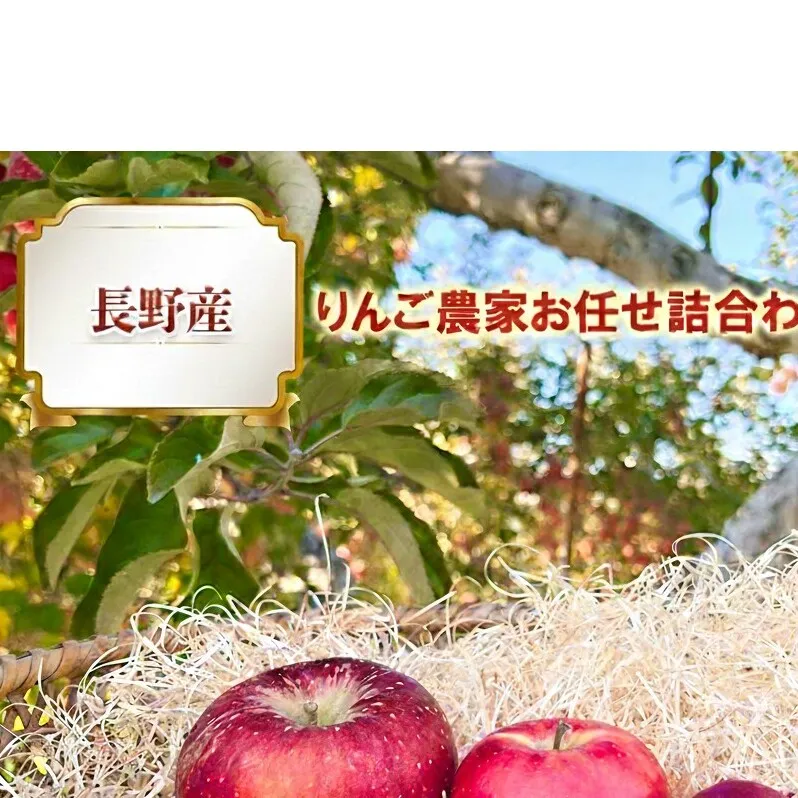 2026年産 長野産りんご農家お任せ詰合わせ家庭用3kg 果物 フルーツ デザート 食後 濃密