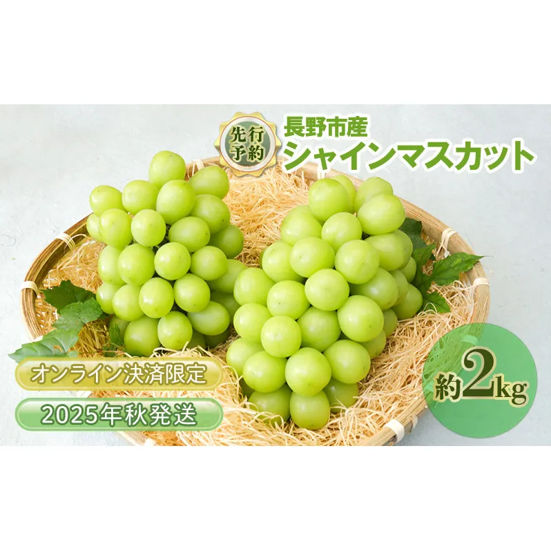 ぶどう 先行予約 長野市産 シャインマスカット 2kg 2025年9月中旬より順次発送 葡萄 ブドウ フルーツ 果物 シャイン マスカット デザート おやつ 信州 オンライン決済限定