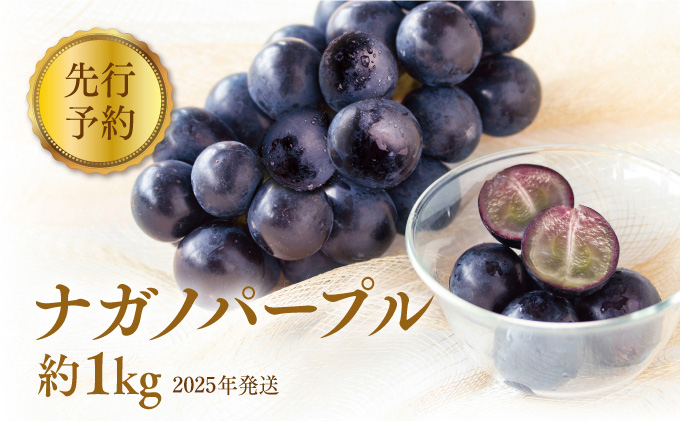 ぶどう 先行予約 長野市産 ナガノパープル 約1kg 果物 ブドウ ぶどう 先行予約 長野市産 ナガノパープル 約1kg 果物 ブドウ