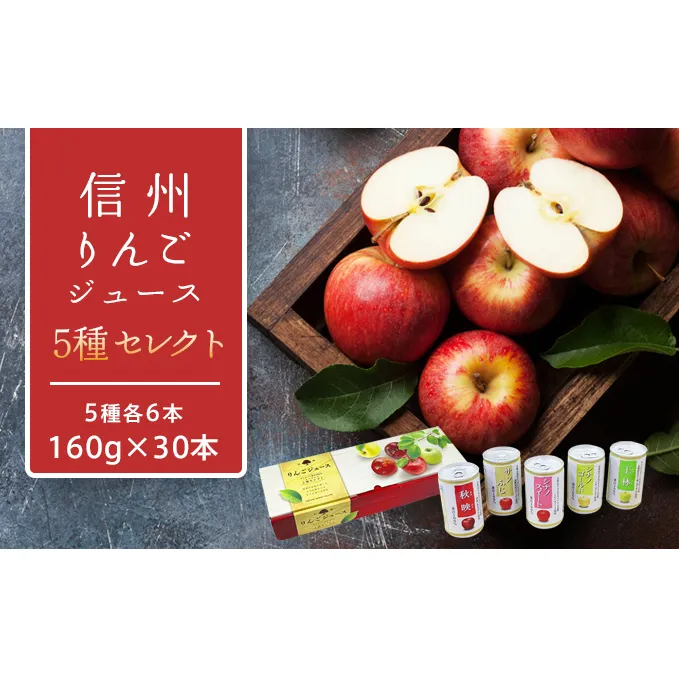 りんごジュース 長野 信州 りんご ジュース 160g×6本×5品種 計30本 詰め合わせ セット リンゴジュース 飲み比べ 100% ストレート 飲料 果汁飲料 秋映 シナノスイート シナノゴールド 王林 サンふじ リンゴ 林檎 長野県 長野市 長野県長野市 