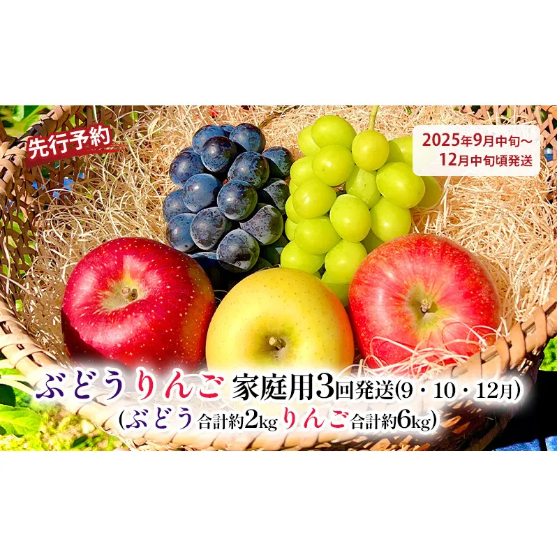 先行予約 ぶどうりんご家庭用3回発送（9・10・12月）（ぶどう合計約2kgりんご合計約6kg）2025年発送 果物 フルーツ デザート 食後 長野県産 新鮮 香りがいい 完熟りんご 信州 長野のりんご 信州産 
