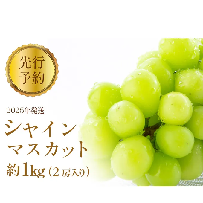 ぶどう 先行予約 シャインマスカット 約1kg 2房入り 葡萄 ブドウ シャイン マスカット 果物 フルーツ デザート おやつ 種なし 信州 2025年秋発送 