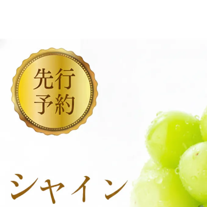 2026年産先行予約 ぶどう 先行予約 シャインマスカット 約1kg 2房入り 葡萄 ブドウ シャイン マスカット 果物 フルーツ デザート おやつ 種なし 信州 2026年秋発送