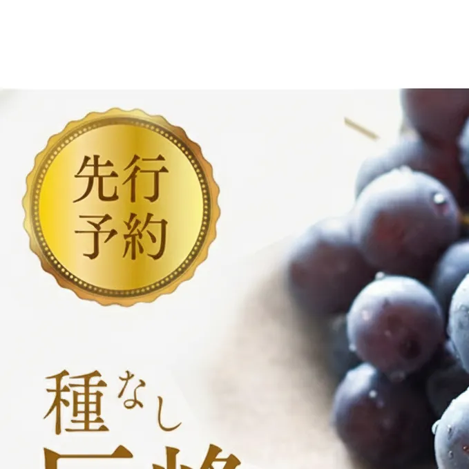 2026年産先行予約ぶどう 先行予約 種なし 巨峰 約4kg 6～12房入り 果物 ブドウ 葡萄 フルーツ デザート おやつ 信州 2026年秋発送