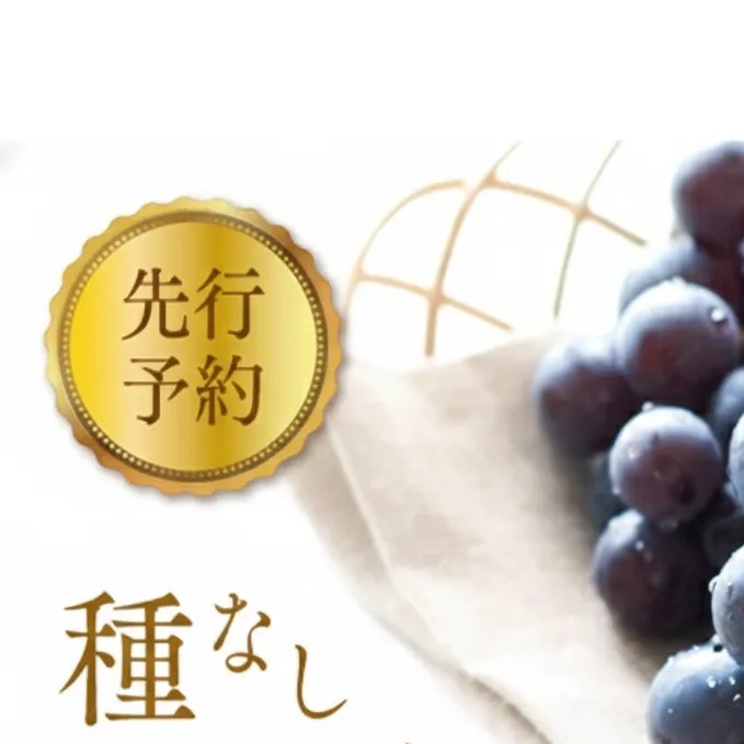2026年産先行予約 ぶどう 先行予約 種なし 巨峰 約 2kg 箱3～6房入り 巨峰種無し フルーツ 果物 旬 ブドウ 葡萄 おやつ 信州 長野県 長野市 2026年 秋発送 長野県長野市