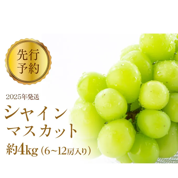 ぶどう 先行予約 シャインマスカット 約4kg 6～12房入り 葡萄 ブドウ シャイン マスカット 果物 フルーツ デザート おやつ 種なし 信州 2025年秋発送 