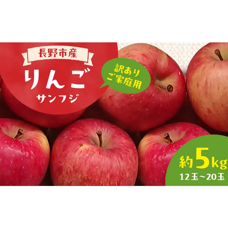 長野市産 訳あり 規格外 りんご サンフジ約5kg 12玉～20玉 家庭用 ※配送不可地域あり 果物類 林檎 リンゴ サンふじ フルーツ