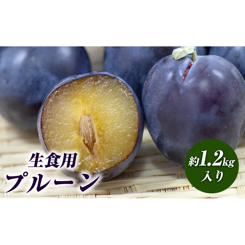 【2025年分 先行予約】生食用プルーン約1.2kg入り 果物 フルーツ ビタミン ミネラル 食物繊維 ポリフェノール 生プルーン 