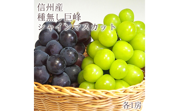 2025年先行予約※【信州長野市産】シャインマスカット＆種無し巨峰各1 