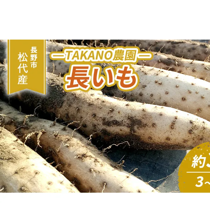 先行予約 長野市松代産 TAKANO農園　長いも 約3kg【3～5本】 野菜 根菜 長野県産 ネバネバ シャキシャキ とろろご飯 具材 食材 国産 