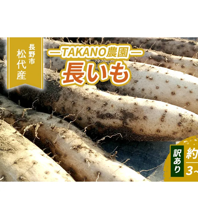 先行予約 長野市松代産 TAKANO農園　長いも 約5kg（訳あり）【3～10本】 野菜 根菜 長野県産 ネバネバ シャキシャキ とろろご飯 具材 食材 国産 