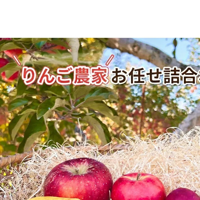 2026年産　長野市産　りんご農家お任せ詰合わせ　家庭用約5kg 林檎 リンゴ 詰め合わせ 果物類 果物 