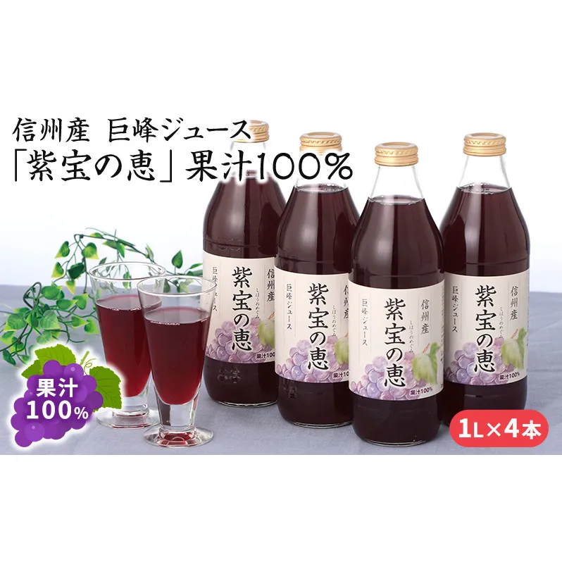 信州産 巨峰ジュース 果汁100％　「紫宝の恵」 (1L×4本)