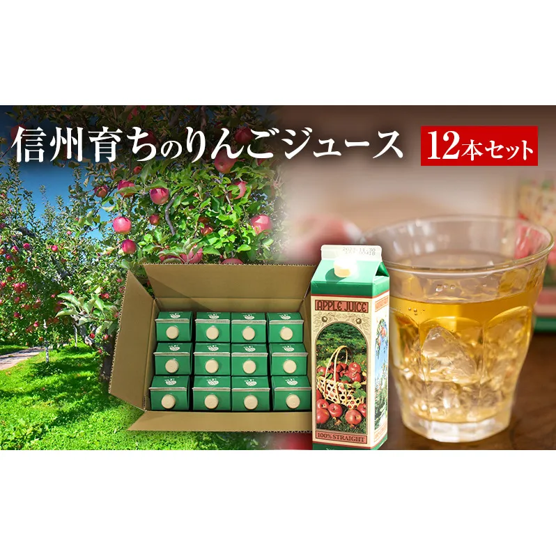 信州育ちのりんごジュース 12本詰 果実飲料 飲料類 飲み物 フルーツジュース アップルジュース 長野市産りんご りんご100％ ストレートジュース コク 