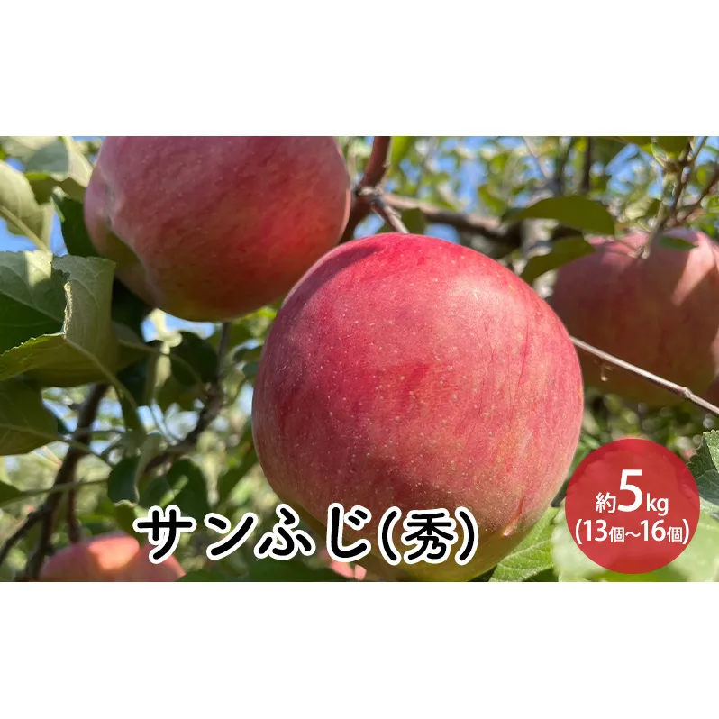 信州りんご ・ サンふじ （秀品）約5kg（12個～18個） 