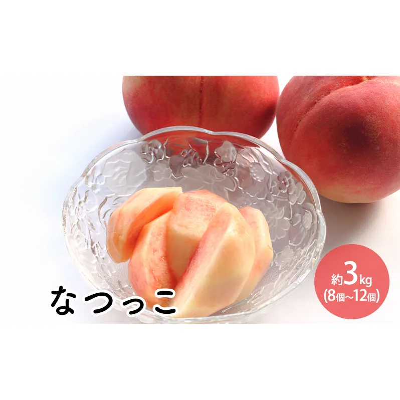 なつっこ約3kg（8個～12個） 