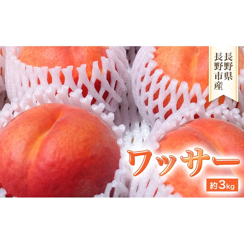 2026年発送　長野市産　ワッサー　約3kg