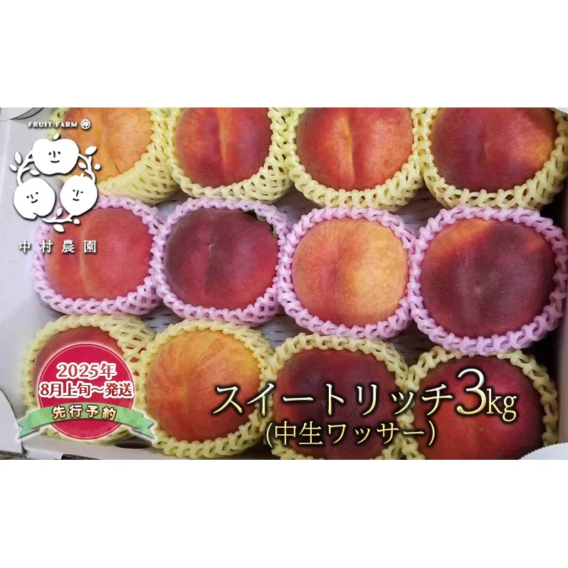 先行予約 スイートリッチ 3kg 中生 ワッサー 桃 ネクタリン 黄桃 硬い桃 果物 くだもの フルーツ 旬の果物 旬のフルーツ 季節の果物 季節のフルーツ 美味しい果物 長野県産 信州 長野 長野県 長野市