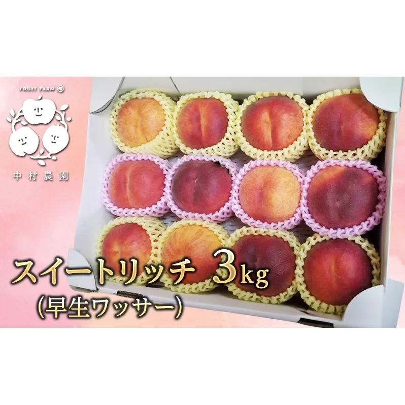 2026年産先行予約 スイートリッチ 3kg 中生 ワッサー 桃 ネクタリン 黄桃 硬い桃 果物 くだもの フルーツ 旬の果物 旬のフルーツ 季節の果物 季節のフルーツ 美味しい果物 長野県産 信州 長野 長野県 長野市