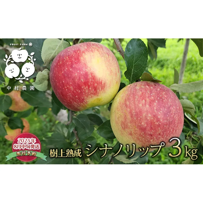 先行予約 りんご 3kg 樹上熟成 シナノリップ 林檎 リンゴ 果物 くだもの フルーツ 旬の果物 旬のフルーツ 季節の果物 季節のフルーツ 美味しい果物 長野県産 長野県産りんご 信州 長野 長野県 長野市