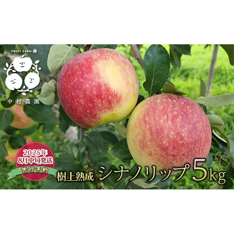 先行予約 りんご 5kg 樹上熟成 シナノリップ 林檎 リンゴ 果物 くだもの フルーツ 旬の果物 旬のフルーツ 季節の果物 季節のフルーツ 美味しい果物 長野県産 長野県産りんご 信州 長野 長野県 長野市