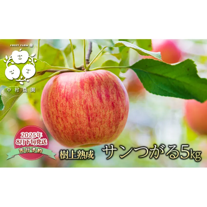 先行予約 りんご 5kg 樹上熟成 サンつがる 林檎 リンゴ 果物 くだもの フルーツ 旬の果物 旬のフルーツ 季節の果物 季節のフルーツ 美味しい果物 長野県産 長野県産りんご 信州 長野 長野県 長野市