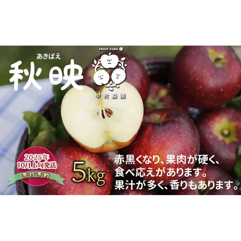先行予約 りんご 5kg 樹上熟成 秋映 林檎 リンゴ 果物 くだもの フルーツ 旬の果物 旬のフルーツ 季節の果物 季節のフルーツ 美味しい果物 長野県産 長野県産りんご 信州 長野 長野県 長野市