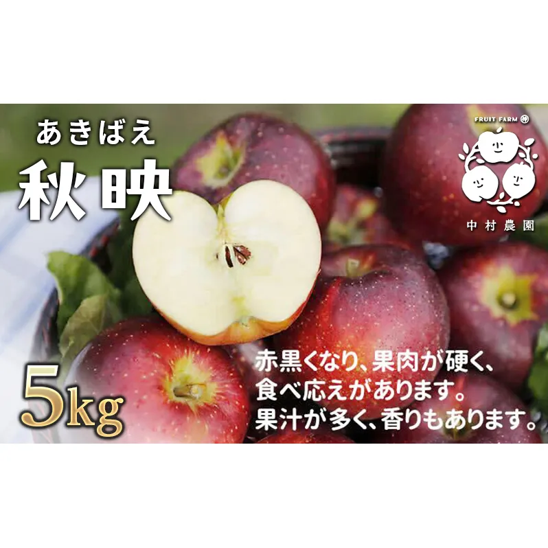 2026年産 りんご 5kg 樹上熟成 秋映 林檎 リンゴ 果物 くだもの フルーツ 旬の果物 旬のフルーツ 季節の果物 季節のフルーツ 美味しい果物 長野県産 長野県産りんご 信州 長野 長野県 長野市