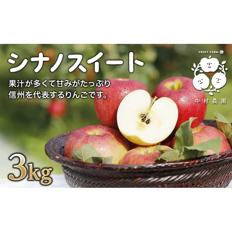 2026年産先行予約 りんご 3kg 樹上熟成 シナノスイート 林檎 リンゴ 果物 くだもの フルーツ 旬の果物 旬のフルーツ 季節の果物 季節のフルーツ 美味しい果物 長野県産 長野県産りんご 信州 長野 長野県 長野市